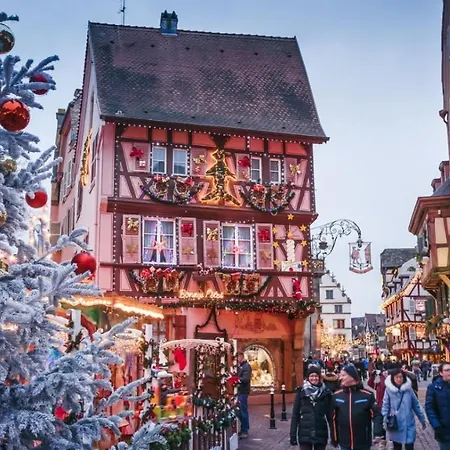 - Le Nichoir - Centre Historique - Parking Gratuit - Box Velo & Poussette Apartment Colmar