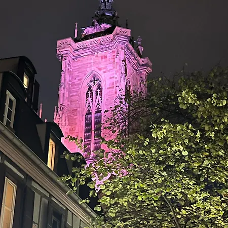 - Le Nichoir - Centre Historique - Parking Gratuit - Box Velo & Poussette * Кольмар