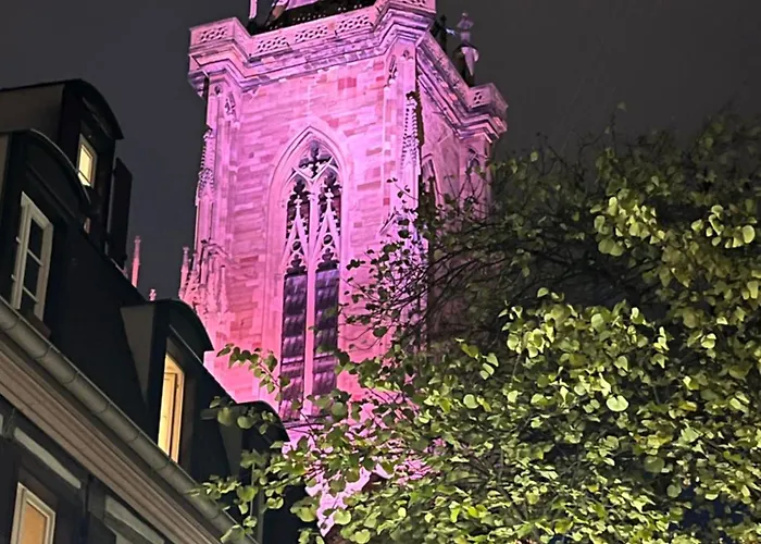 - Le Nichoir - Centre Historique - Parking Gratuit - Box Velo & Poussette * Кольмар