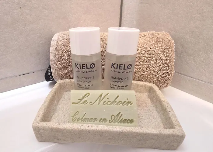 - Le Nichoir - Centre Historique - Parking Gratuit - Box Velo & Poussette * Кольмар